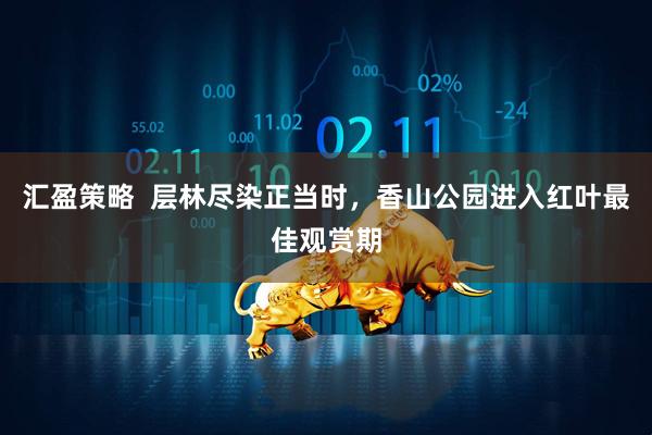 汇盈策略  层林尽染正当时，香山公园进入红叶最佳观赏期