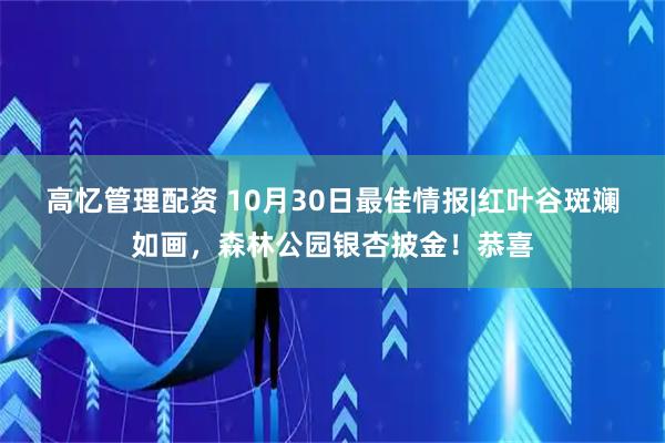 高忆管理配资 10月30日最佳情报|红叶谷斑斓如画，森林公园银杏披金！恭喜