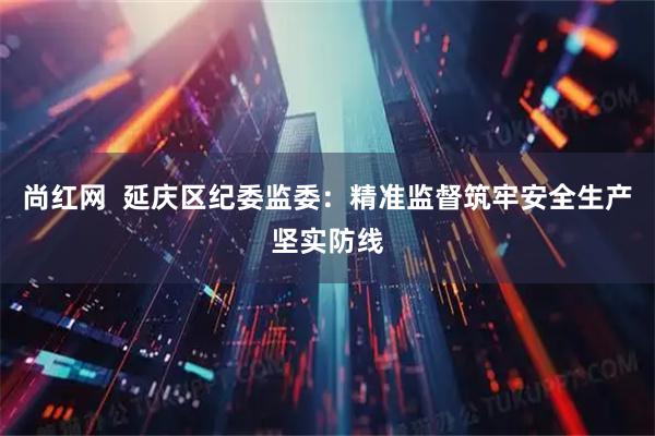 尚红网  延庆区纪委监委：精准监督筑牢安全生产坚实防线